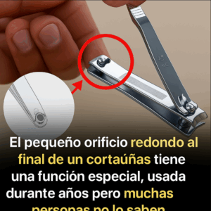 Esos pequeños agujeros redondos del cortaúñas tienen un uso ingenioso y no teníamos ni idea Esos pequeños agujeros redondos del cortaúñas tienen un uso ingenioso y no teníamos ni idea